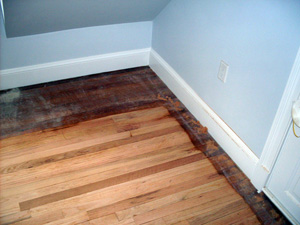 DPF Hardwood Floors LLC